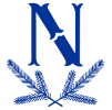 N logo